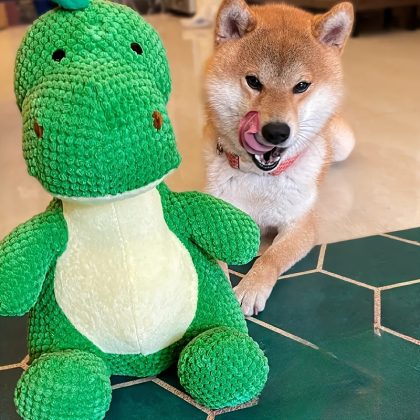 Pet Self-Entertainment Plush Cat And Dog Toys Interactive Sleeping Squeaky Green Cartoon Dinosaur Dog Toys